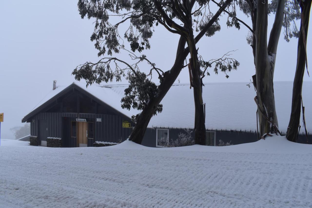 Cooroona Alpine Lodge Falls Creek Ngoại thất bức ảnh